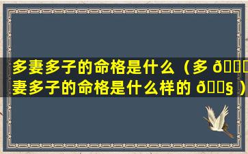 多妻多子的命格是什么（多 🐋 妻多子的命格是什么样的 🐧 ）